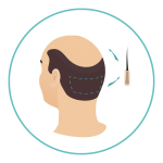 icones-site-processo2