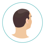 icones-site-processo4